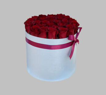 Плоская коробка из 25 красных роз