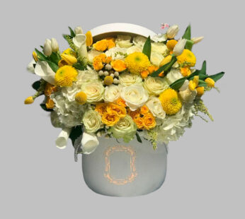 «White And Yellow Mixed Box»