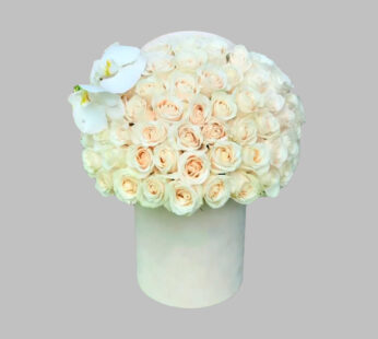 Signature Creme Box Dressed In 75 White Roses