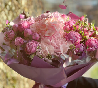 Hortensia in Pink Roses