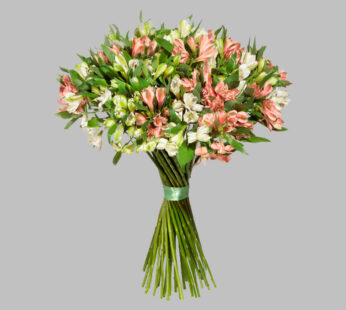 «Bouquet of alstroemeria»