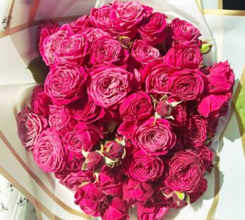 Pink Roses Hand tied