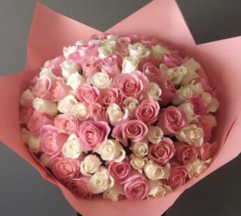 Розово-белые розы