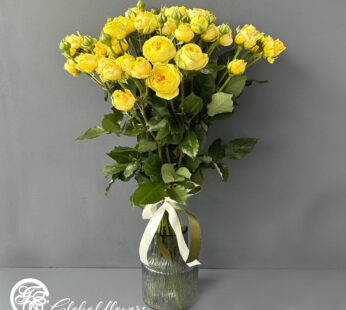 Roses-yellow babeles 11