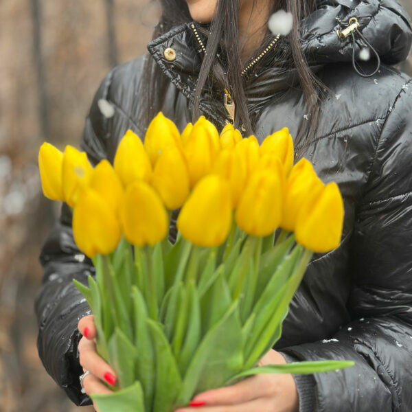 Tulips Yellow